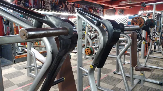 Professional weight training machines